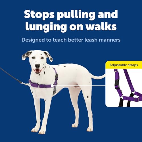 PetSafe Easy Walk Comfort No-Pull Dog Harness Full-Body Padding - Better Walks on the First Use - 5 Points of Adjustment Medium, Blue - color: Blue, size: Medium