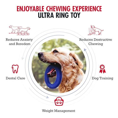 Tuff Pupper SuperChewer Tough Dog Ring Toy | Lifetime Replacement | Strong Natural Rubber | Chew Toys for Aggressive Chewers | Durable Tug Play | Strong Dog Ring Toy | Large Breed Tested - size: Large