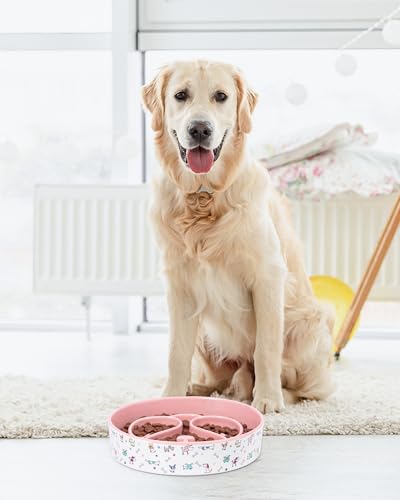 Slow Feeder Dog Bowl, Ceramic Dog Bowls 1.5 Cup Puzzle Feeder - Stops Fast Eating, Prevents Bloat, Choking & Black Chin for Medium/Large Dogs, Pink﻿ - color: Pink