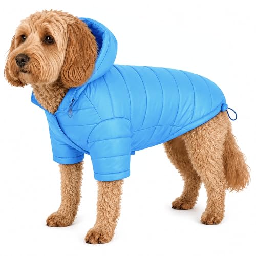 Pet Life ® Sporty Avalanche Lightweight Adjustable Folding Fall and Winter Dog Coat Jacket with Concealed Zippered Pop-Out Hood - color: Blue, size: Medium