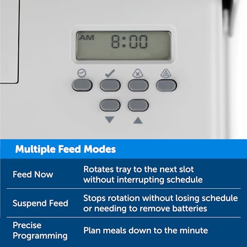 PetSafe Automatic Dog Feeder, 5 Meals, 40 oz Capacity, Plastic, for Dry Food, Multiple Pets (Pack of 2) - size: 5-Meal (Pack of 2)