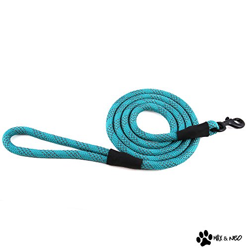 Max and Neo Rope Leash - Reflective, 6 FT x 1/2" - Teal - color: TEAL