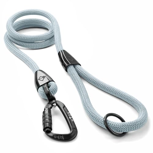 MADE TO ROAM Premium Explorer Leash - Climbing Rope Leash with Autolocking Aviation Aluminum Carabiner - Alaska Daybreak, 4ft - color: Alaska Daybreak, size: 4 Feet
