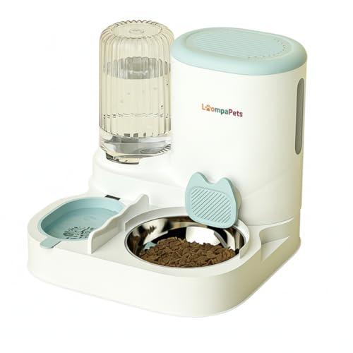 Automatic Cat Feeder and Water Dispenser, 1.1L Cat Dry Food Dispenser with Stainless Steel Bowl, 800ml Gravity Water Dispenser with Filter for Small Dog Cats Kitten Puppy