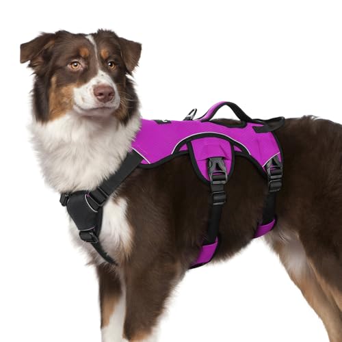 rabbitgoo Escape Proof Dog Harness, Soft Padded Full Body Pet Harness, Reflective Adjustable No Pull Vest with Lift Handle and Leash Clip for Large Dogs Walking Hiking Training, M, Purple - color: Purple, size: Medium (Pack of 1)