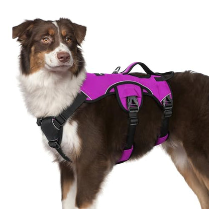 rabbitgoo Escape Proof Dog Harness, Soft Padded Full Body Pet Harness, Reflective Adjustable No Pull Vest with Lift Handle and Leash Clip for Large Dogs Walking Hiking Training, M, Purple - color: Purple, size: Medium (Pack of 1)