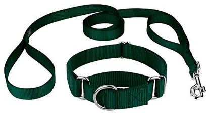 Country Brook Petz - Green Martingale Heavyduty Nylon Dog Collar and Double Handle Leash (1 Inch, Large) - color: Green, size: Large (Pack of 1)