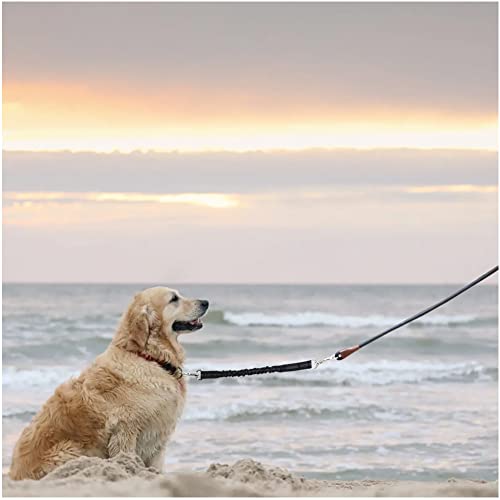 MayPaw Bungee Dog Leash Extension Attachment, 18" Reflective Shock Absorbing Lead Extender for Dog Walking Running Training (Black)