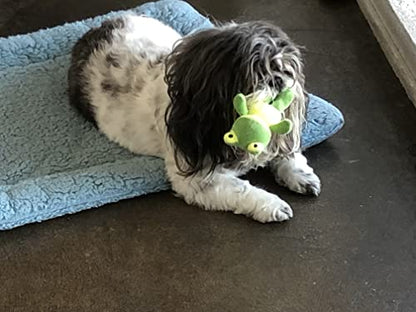 Glory To Dog TinyToy Green Frog Plush Dog Toy for Puppies and Small Dogs - style: Frog