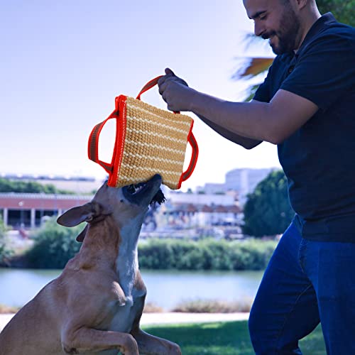Libima 2 Pcs Dog Bite Pillow Tug Toy with Strong Handles Dog Tug of War Training Tools Jute Bite Toy for Puppy Young Small Medium Pets Interactive Play Training Equipment
