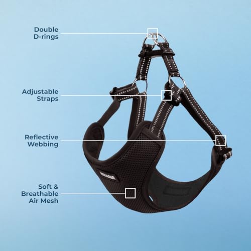 Best Pet Supplies Voyager Adjustable Step-in Flex Breathable Mesh Dog Harness for Small Medium Large Dogs (Black), XS - color: Harness (Black), size: XS