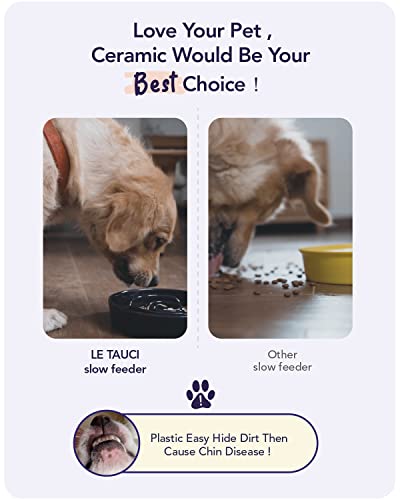 LE TAUCI Slow Feeder Dog Bowls Ceramic,3 Cups Slow Feeding Dog Bowl Medium Large Breed, Pet Bowl for Fast Eaters, Puzzle Pet Dishes, Pink Bloom - color: Pink Bloom, size: L-3 Cups