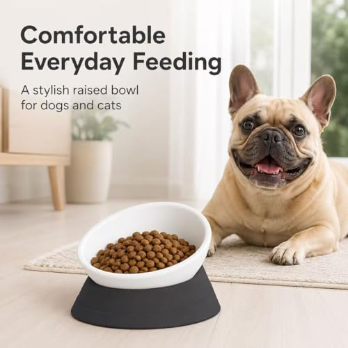 Tilted Angle Dog Bowls - Slanted Resin Dog Cat Food Bowl, Non-Slip Pet Feeder with Detachable Silicone Stand (Black, L - 4 Cup) - color: Black, size: L - 4 Cup