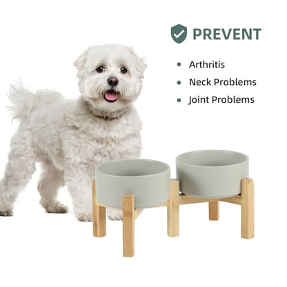 Havniva 6.1” Dog Bowls Elevated Ceramic Dog Food and Water Bowl Set, Double Raised Dog Water Bowl with Stand Non-Slip Rubber Base Two Heights Large Capacity Feeding Pet Food Bowl for Small Dogs - color: Matte Gray - 2 Bowls+Stand, size: 6.1 Inch
