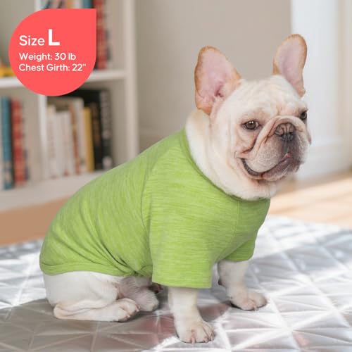 KYEESE 2Pack Dog Sweater, Soft Pet Sweatshirt Stretchy Pullover Dog Sweater for Small Dogs Boy Girl, Lightweight Fleece Pet Shirt Clothes with Sleeves, M - color: 04# 2Pack(Green+Stripe), size: Medium (8.5-13lbs)