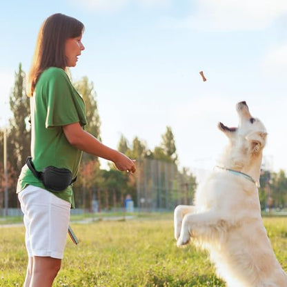 Dog Treat Pouch - Premium Silicone - Upgrade 4 Strong Magnets Enhanced Magnetic Closure, Adjustable Waist Belt - Ideal for Puppy Training and Outdoor Walks - Black - color: Black