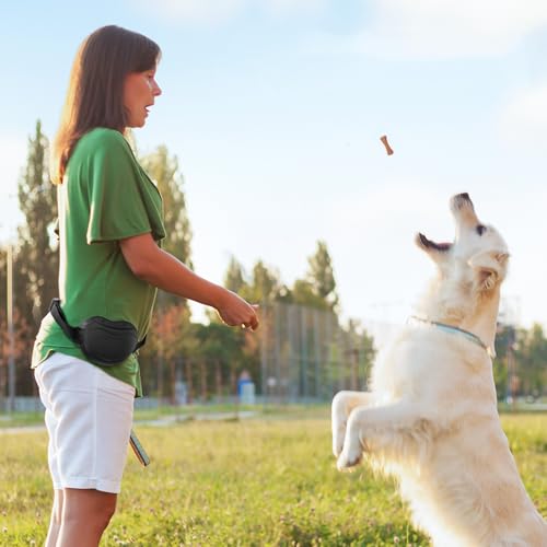 Dog Treat Pouch - Premium Silicone - Upgrade 4 Strong Magnets Enhanced Magnetic Closure, Adjustable Waist Belt - Ideal for Puppy Training and Outdoor Walks - Black - color: Black