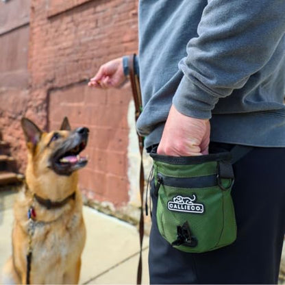 Callieco Mini Dog Treat Pouch with Magnetic & Zipper Closure | Small Waist Belt Training Behavior Aid Bag for Dog Walking with Poop Bag Dispenser (Green) - color: Green