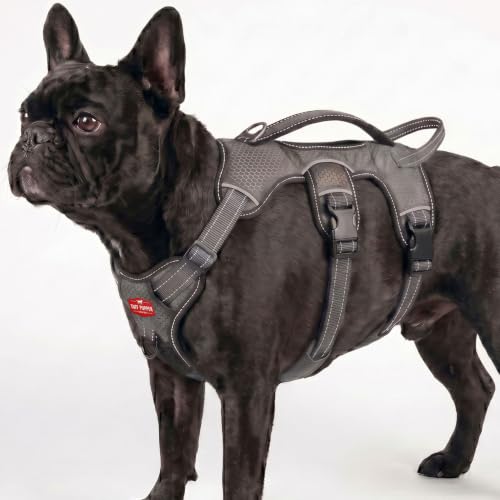 Tuff Pupper Escape Proof No Escape Dog Harness | 5 Point Adjustable Fit Harness for Dogs | Padded Dog Harnesses | Handle Dog Lift Harnesses - color: Steel Grey, size: Small: 17-22 Inch Chest