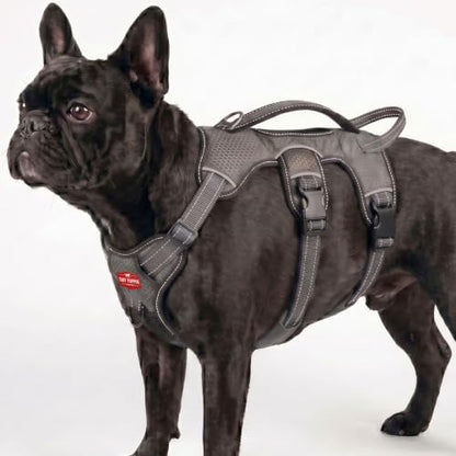 Tuff Pupper Escape Proof No Escape Dog Harness | 5 Point Adjustable Fit Harness for Dogs | Padded Dog Harnesses | Handle Dog Lift Harnesses - color: Steel Grey, size: Small: 17-22 Inch Chest