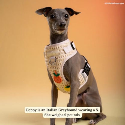 Lucy & Co. Main Squeeze Crochet No-Pull Dog Harness, Adjustable Front Clip Harness with Comfort Padding, X-Large - color: Main Squeeze, size: X-Large