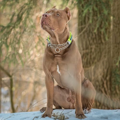 Reflective Martingale Dog Collar - No-Pull Adjustable Training Collar with Soft Nylon & Chain, Shark Pattern for Medium, Large & XL Dogs (Shark XL) - color: 10, size: XL