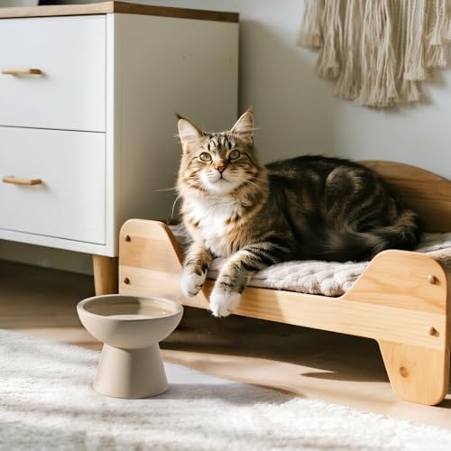 CEEFU 2 Elevated Cat Bowls Extra Wide for Food & Water – Whisker Fatigue, Ceramic Wide Shallow Food Dish, Lead & Cadmium Free, Raised Height for Cats, Pottery Clay (Not Glazed) - color: Pottery Clay