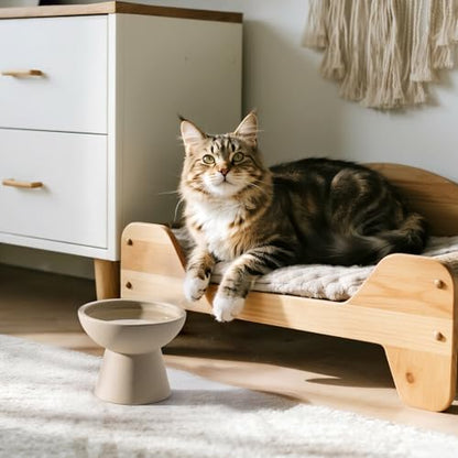 CEEFU 2 Elevated Cat Bowls Extra Wide for Food & Water – Whisker Fatigue, Ceramic Wide Shallow Food Dish, Lead & Cadmium Free, Raised Height for Cats, Pottery Clay (Not Glazed) - color: Pottery Clay