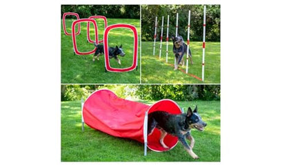 6-Piece Large Agility Training for Dogs - Affordable Training Kit for Dogs, red (CM-10026-CS01)