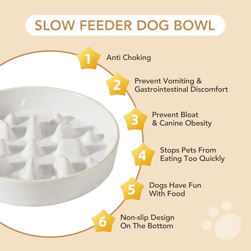 Havniva 1.6 Cup Elevated Slow Feeder Dog Bowls, 8.2” Dog Slow Feeding Bowls + 7.3” Ceramic Dog Water Bowls Set with Acacia Wood Stand Dog Food Bowls Puzzle Feeder for Medium Dogs Non-Slip Anti-choking - color: 2 x White + Stand - C, size: L- 8.2inch / 1.6