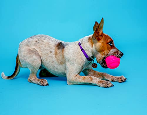 Hartz Dura Play Bacon Scented Squeak Ball Dog Toy for Small Breeds, 36 Pack - size: 3 Count (Pack of 12), style: Small Ball