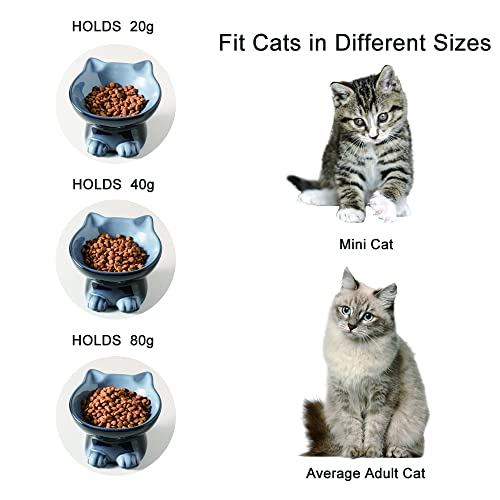 Nihow Ceramic Raised Cat & Dog Bowls: 5 Inch Elegant Gray (2 PC), Protecting Pet's Spine, Feeding & Watering Supplies, Modern Design, Anti Vomiting, Whisker Friendly - color: Gray, size: 4.5 OZ+8 OZ