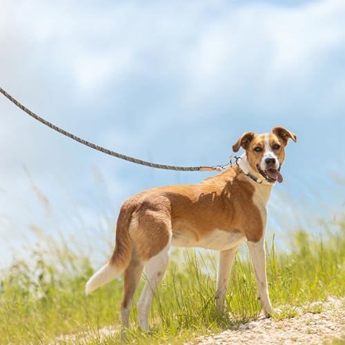 Mile High Life Dog Leash, Rope Leash with Genuine Leather Connection and Heavy Duty Metal Clasp, Great for Small Medium Large Dogs(Black Beige,48 Inch) - color: Rope Handle-Black Beige, size: 48 Inch-1/2"
