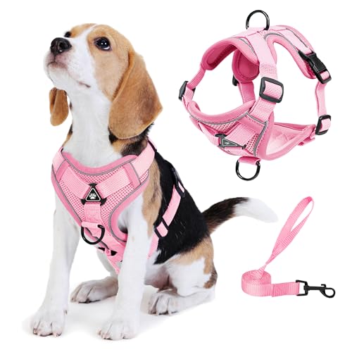 No Pull Dog Harness with Leash Set for Small Sized Dog, Reflective Adjustable No Choke Front Clip Cat Vest Harness with Breathable Mesh, Comfortable Soft Padded Pet Vest, Pink L - color: Pink, size: L (Neck 9.39-13.72'' Chest 7.81-16.87'')