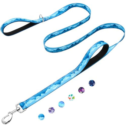 6ft Dog Leash with Two Padded Handles, Heavy Duty Strong Nylon Pet Leash with Soft Neoprene Handle for Medium and Large Dogs, Blue Sunset - color: Blue Sunset, size: 1 in x 6 ft