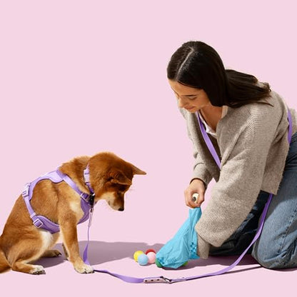 13 in. x 9 in. Extra Thick Leak Proof Unscented Dog Poop Bags, Blue (300 Count, 20-Rolls) - size: 300 Count (Pack of 1)