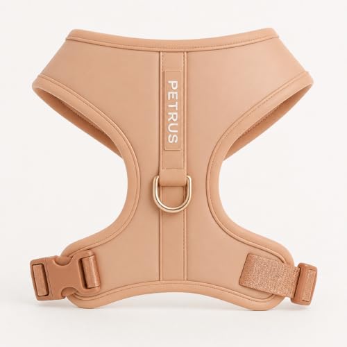 Premium No-Pull Dog Harness Soft Neoprene & Breathable Mesh Vest with Front & Back Clip D-Rings Adjustable Lightweight Walking Harness for Puppies, Small & Medium Dogs (Rose Beige, XXS) - color: Rose Beige, size: XXS: Neck=9.1-13'', Chest=10.6-14.6''
