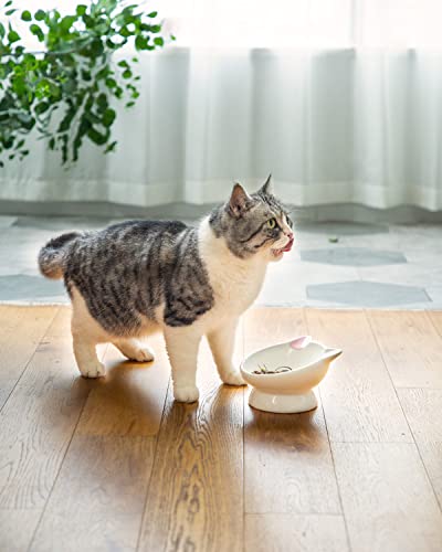 Raised Cat Food Bowl Ceramic 15° Tilted Cat Food Bowls Protect Cat's Spine Anti Vomiting Backflow Prevention Bowls for Adult Kitty, Kitten, and Small Dogs, Pink - color: Pink Ears