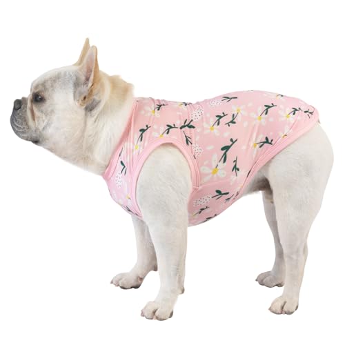 CuteBone Dog Shirts 2-Pack Soft Pet Clothes Breathable Summer Vest for Small Puppy and Stretchy Cat Apparel - color: Flowers&pineapple, size: Small