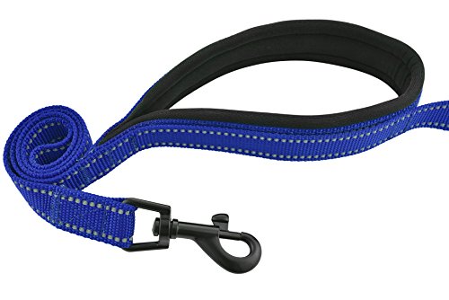 Double Handle Dog Leash, 5ft Long Heavy Duty Dog Leash with Paded Traffic Handles for Extral Control and Training, Dual Handles Leads, Large Medium Small Dogs (Royal Blue)