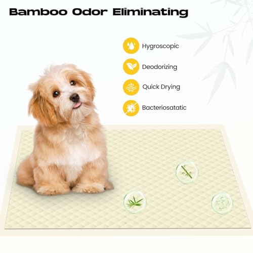 Puppy Pads 30 Count Small 22x22in Bamboo Training Pads Deodorizing Leakproof Quick Drying Dog Pee Pads Super Absorbent Disposable Pee Pads for Dogs Puppies, Doggie, Cats, Rabbits - size: 22*22(30 Count)