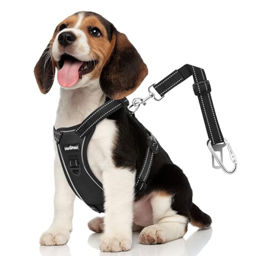 VavoPaw Dog Car Belt, Dog Harness Reflective Strip & Adjustable Buckle, Dogs Car Leash Seat Belts, Dogs Seats Belt Soft Padded & Breathable Mesh, Safety Pet Seat Belts Cars Tether, S, Carbon Black - color: Carbon Black, size: S (Chest: 16.5-21.7", Neck: 8