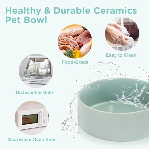 SPUNKYJUNKY Elevated Dog Bowls Ceramic, 6.1'' Dogs and Cat Food Water Bowls Raised with Non-Slip Bamboo Stand for Medium Sized Breed Microwave Dishwasher Safe - 28.7 OZ,Light Green - color: Light Green, size: 6.1 in - 3.6 cups