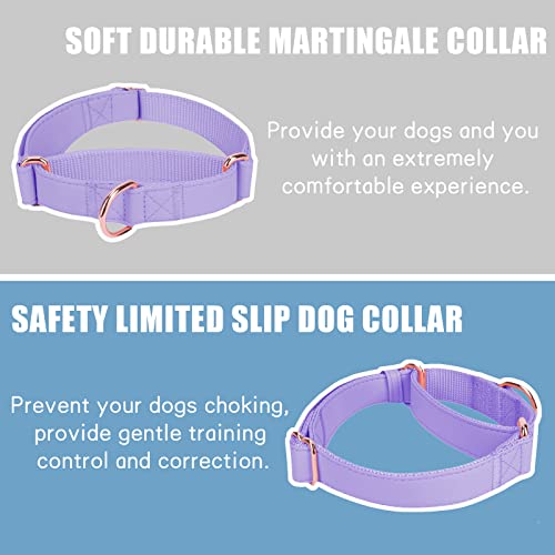 Soft Leather Martingale Dog Collar - Adjustable Rose Gold Limited Slip Collars [Easy to Clean], Stylish Durable Heavy Duty Nylon No Pull Training Collar for Small Medium Large Dogs XS Purple - color: Purple, size: XS (Neck 8"-11", Width 3/5")