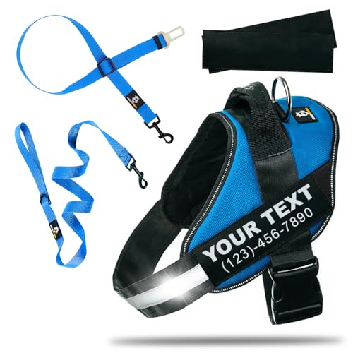 DOGGYKINGDOM Personalized Dog Harness and Leash Set with Seat Belt for Car, No Choke, Reflective, Adjustable Soft Padded Dog Vest Harness with Control Handle for Large Dogs, Blue, XL - color: Blue, size: XL (Chest: 28 - 35 in)