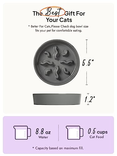 Ceramic Slow Feeder Dog Bowls Small Breed, 0.5 Cups Dog Food Dish for Fast Eaters, Puzzle Bowl for Small Dogs and Cats, 5.5 Inch-Grey - color: Grey