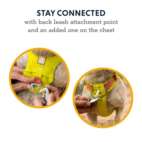 Ruffwear, Hi & Light, Everyday Lightweight Dog Harness, Trail Running, Walking, Hiking, All-Day Wear, Basalt Gray, X-Small - color: Basalt Gray, size: X-Small