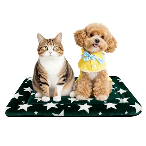 Dog Bed Mat – Soft & Comfortable Dog Kennel Pad for Crate – Durable Crate Bed & Mat for Dogs & Cats – Ideal for Crate, Kennel, and Home Use (Big&Little Stars Green, S(24"*18"*1.5")) - color: Big&Little Stars Green, size: S(24"*18"*1.5")
