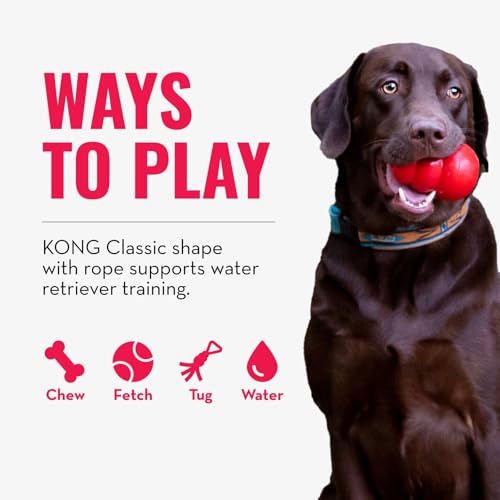 KONG Aqua Floating Fetch Toy - Dog Floating Toy for Water Retrieval, Play, Exercise & More - Natural Rubber Dog Toy with Foam Interior & Rope for Farther Throwing - Orange, for Large Dogs - size: Large (Pack of 1)