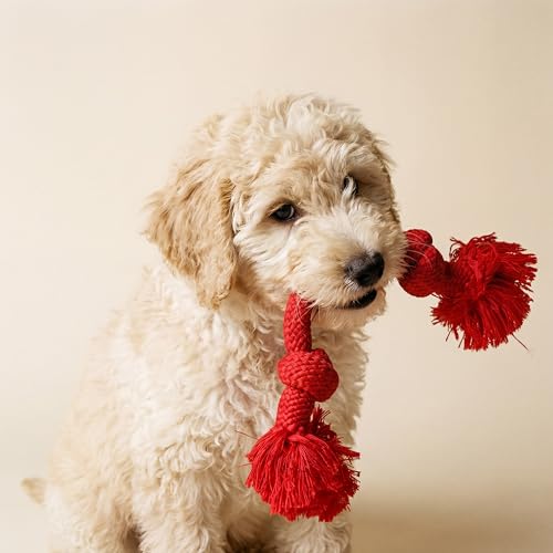 Playology Dog Toys | Dri-Tech Rope Tug of War Dog Toy for Tough Chewers | Beef Scented Medium Tug Rope Toys for Dogs - size: Medium, style: Beef